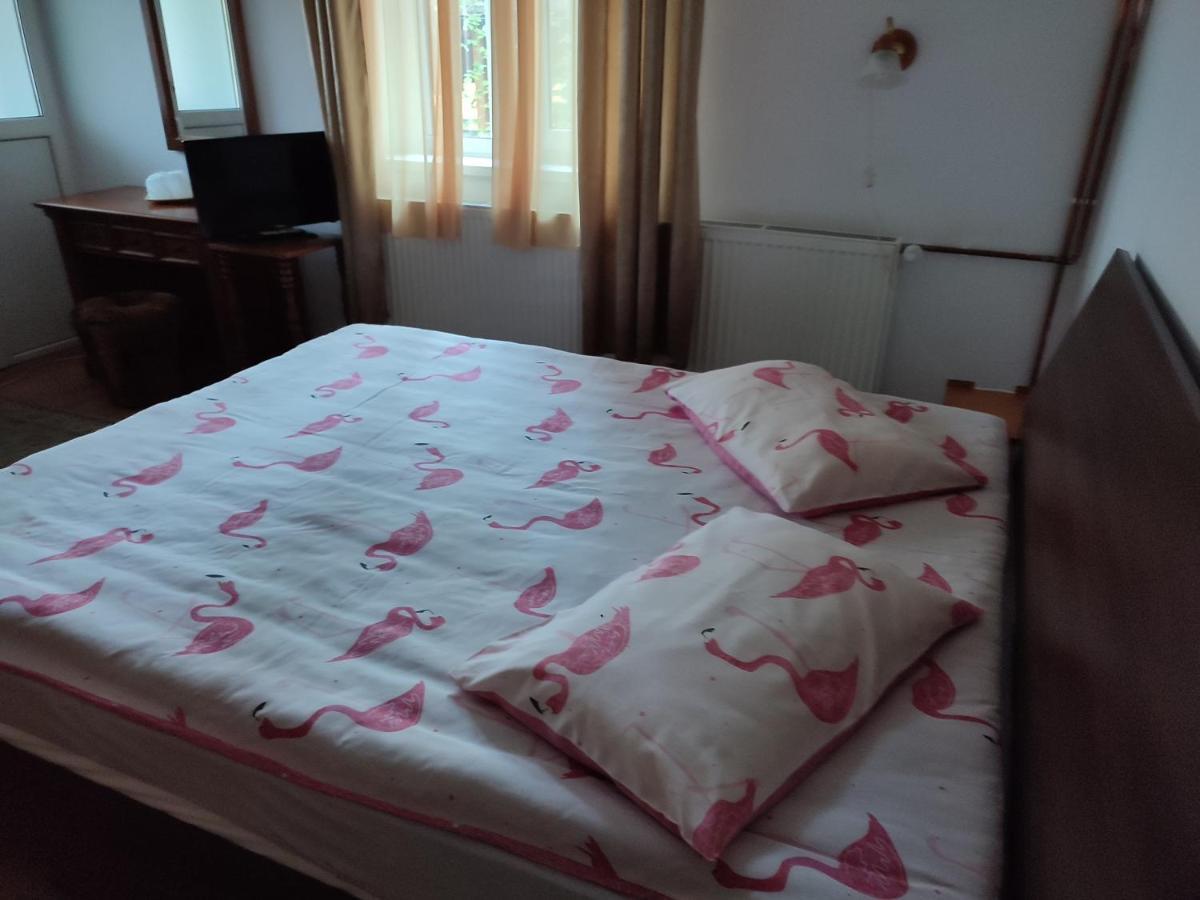 Vila Brazilor Caciulata Ngoại thất bức ảnh